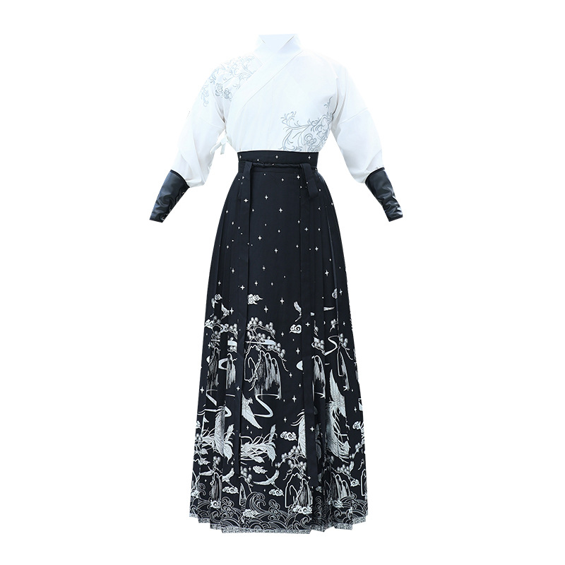 New Chinese-style men's Chinese-style embroidered cross-neck top, silver embossed horse face skirt, Hanfu, ancient style martial arts style couple's set Item Picture