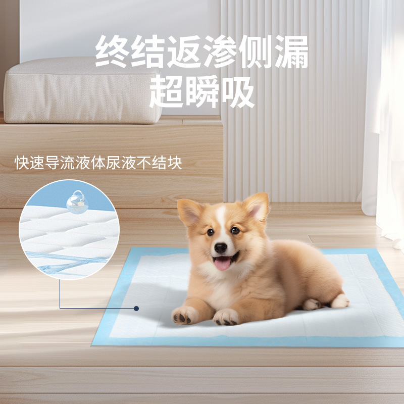 猫砂铲实物图