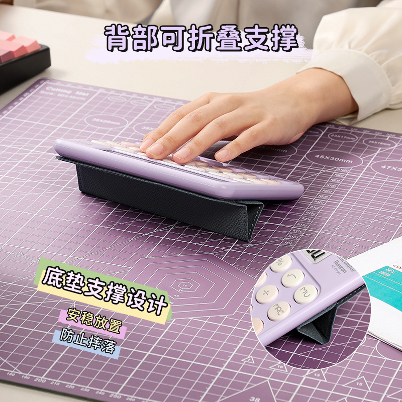 RZ.831PRO dopamine-colored calculator, cute and flexible keyboard calculator, financial accounting office calculator Application Scenario