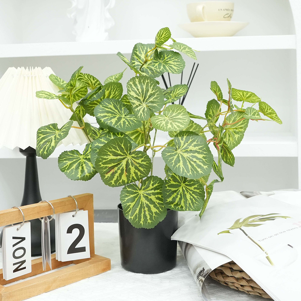 Artificial plant potted plants, Nordic Ins-style home and office desktop decoration small ornaments, mini green plant bonsai Application Scenario