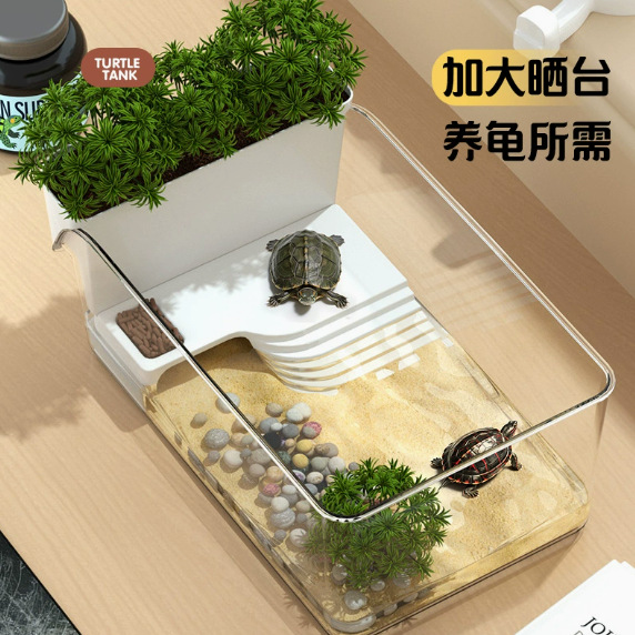 新款透明小型乌龟饲养缸家用螃蟹缸办公室桌面龟缸生态造景晒爬台细节图