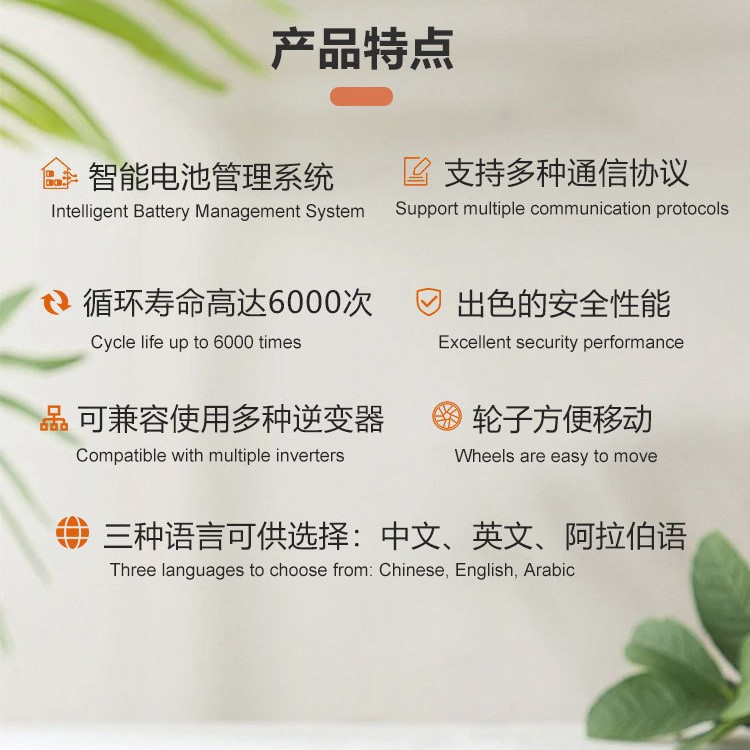 Factory Direct Sales Of 10Kwh Wall-Mounted Lithium Iron Phosphate Energy Storage Batteries With 51.2V Solar Power Supply And Ewatt Battery Cells Specification drawing