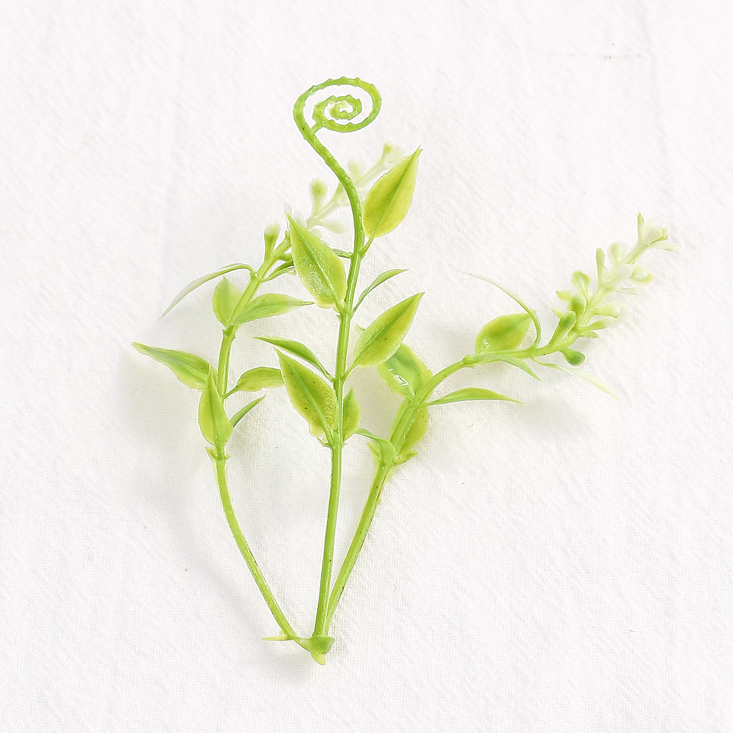 仿真蕨类实物图