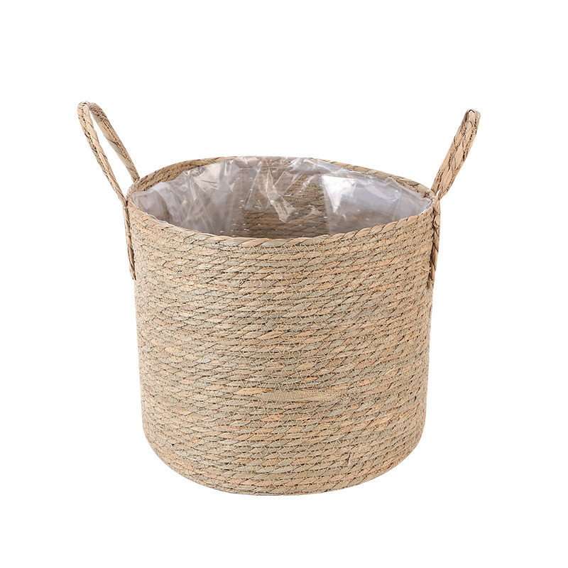 import白底实物图