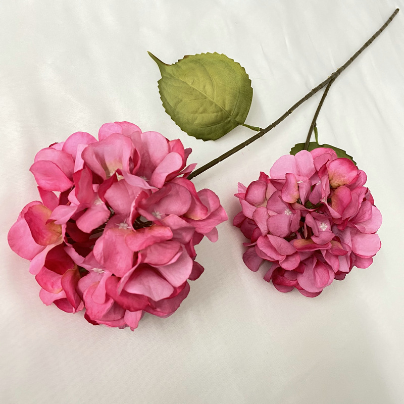 仿真水生植物实物图