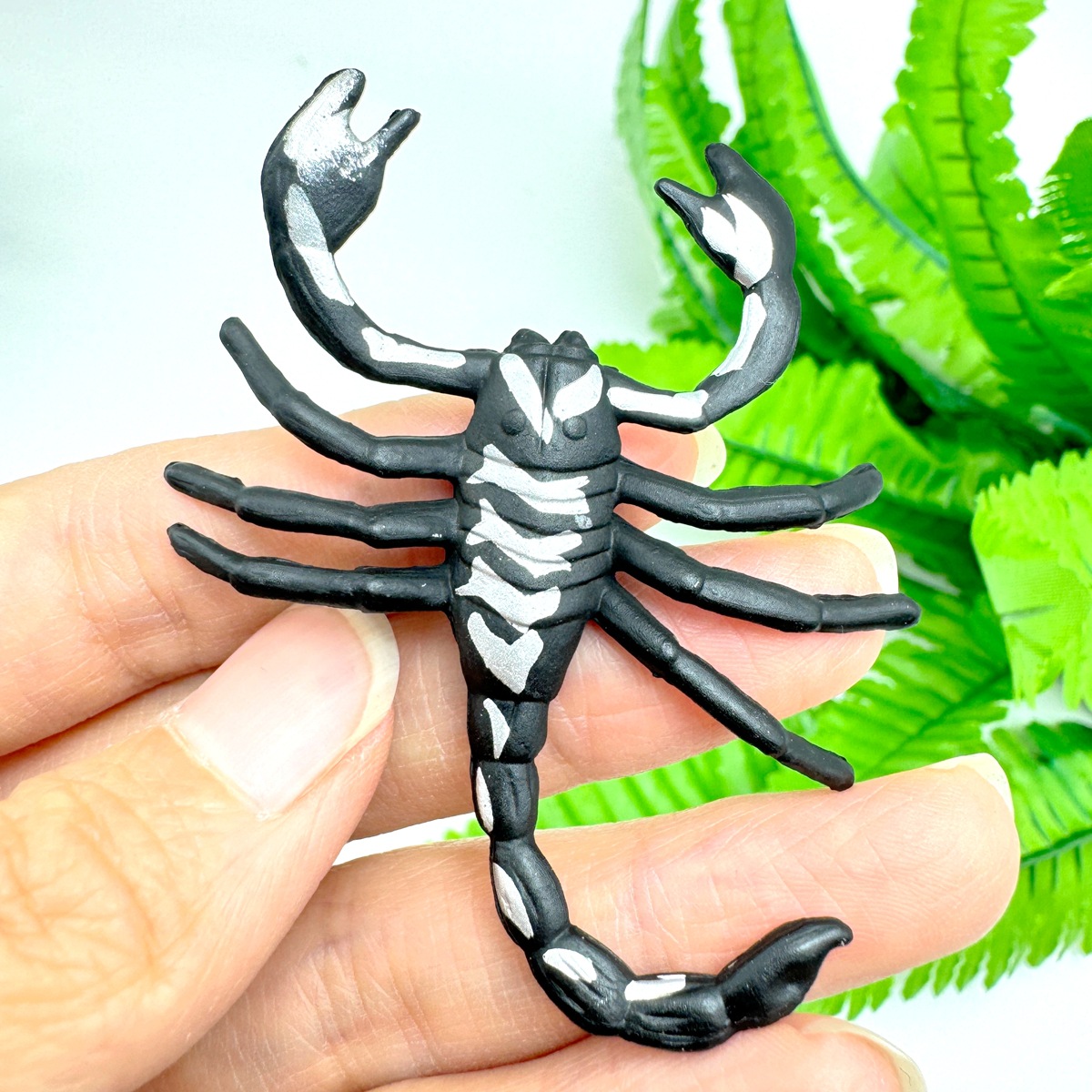 动植物/仿真模型实物图