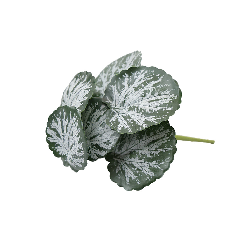 仿真绿植物镜片叶子圆贝叶中壁挂仿真绿植 婚庆造景搭配装饰树叶白底实物图