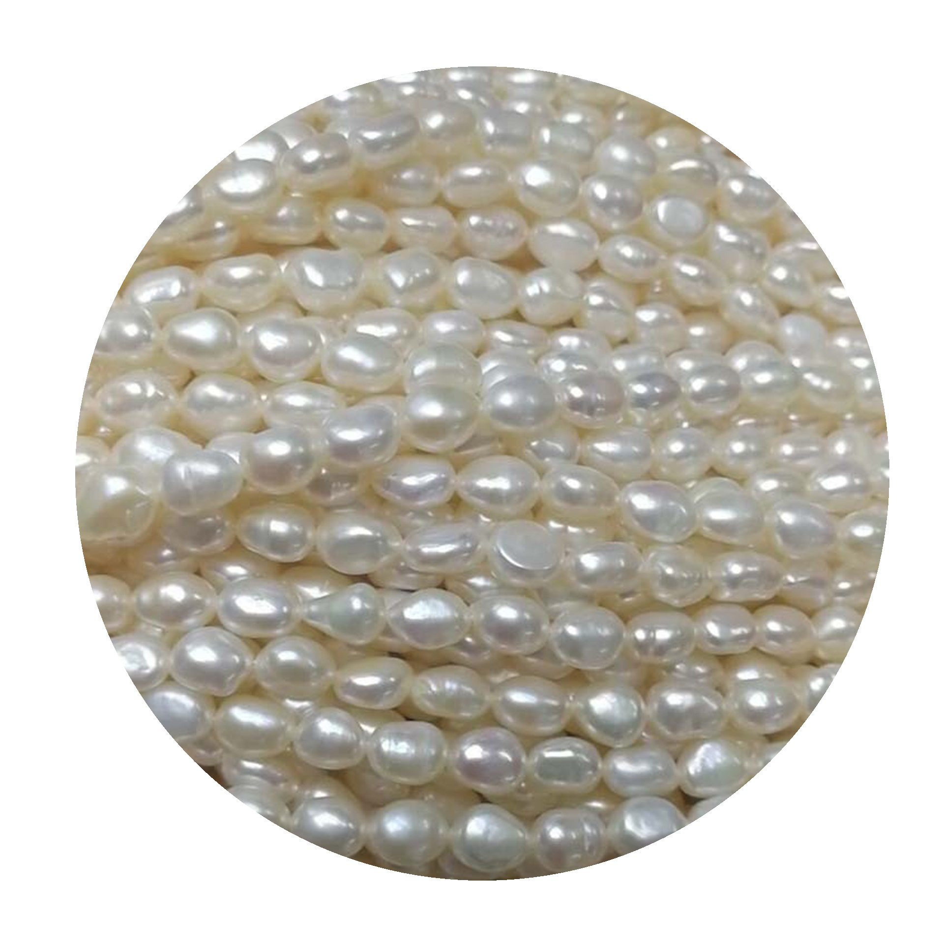 import白底实物图