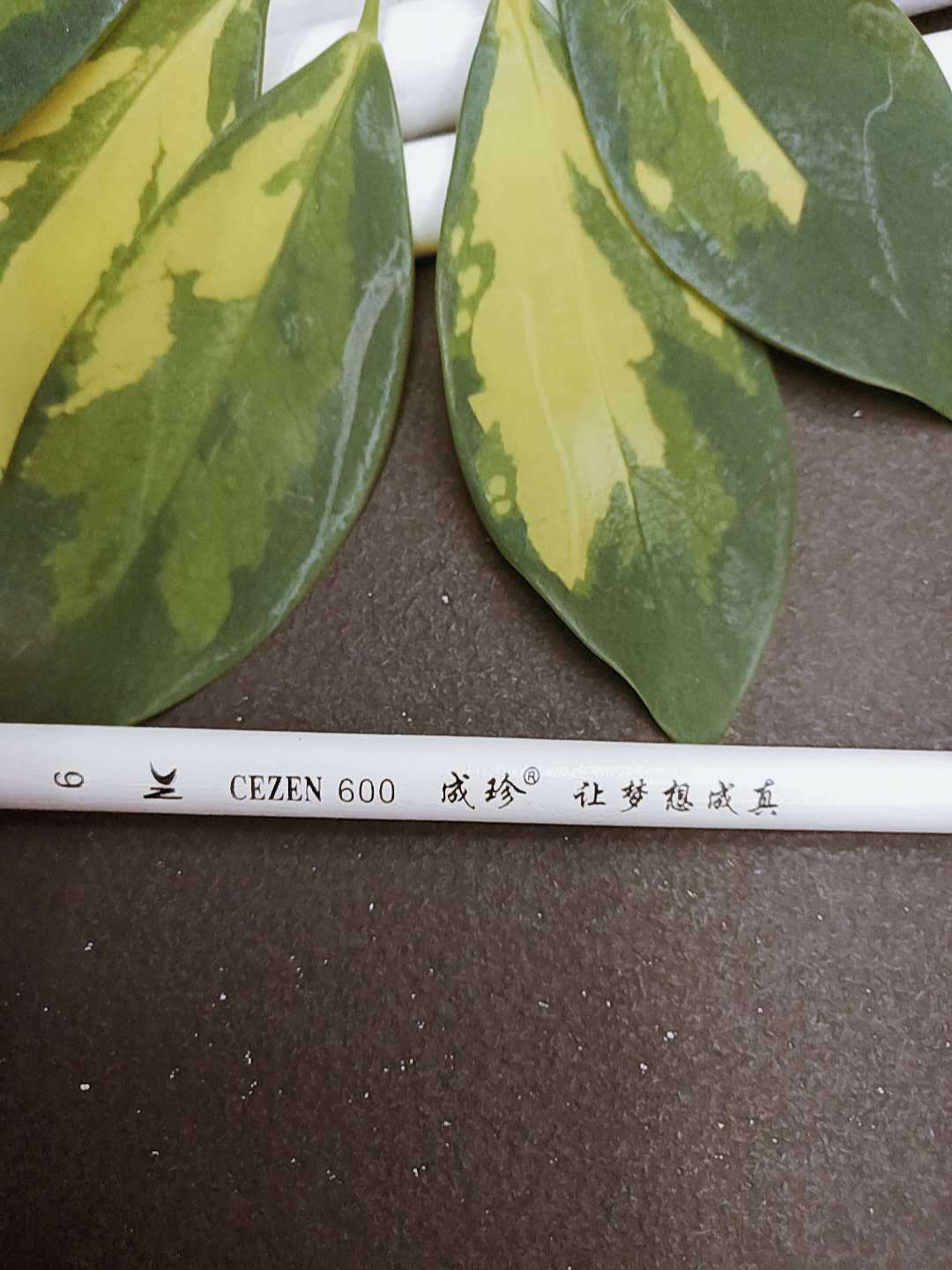 Pura lana cabeza plana pincel de gouache pincel de acuarela única tiza de agua lana pincel de fábrica directa Specification image