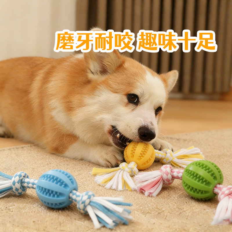 新款宠物磨牙耐咬绳球玩具 狗狗益智解闷 清洁牙齿互动拉扯玩具