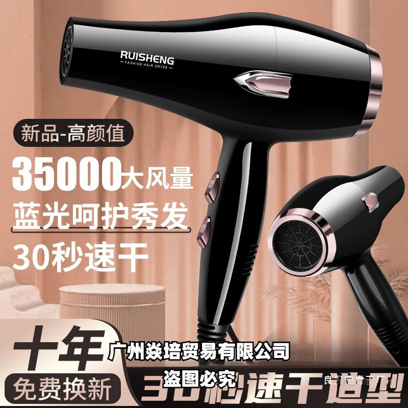 德国发型师吹风机3000发廊大功率家用强风冷热风蓝光负离子护发静详情图2