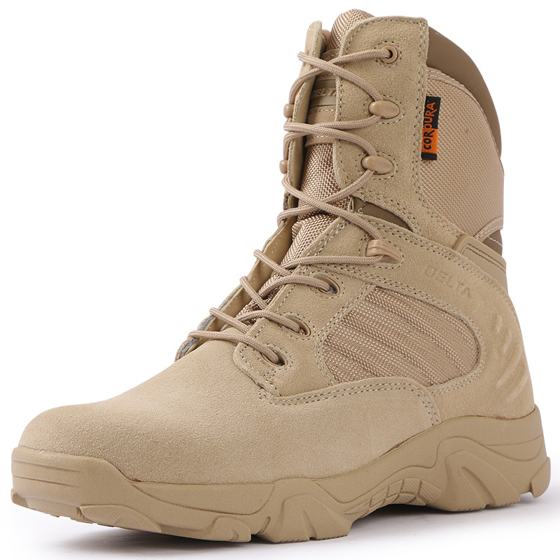 Cross-border large-sized training shoes, Delta high-top combat boots, tactical boots, hiking shoes, outdoor desert boots, one-piece consignment details Picture