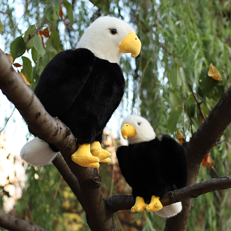 New cross-border simulation bird plush toys, including eagle, pelican, vulture and stork simulation animal figurines, as well as park and scenic area ornaments Specification image