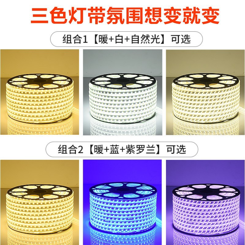 灯带/COB灯带/led灯带/Led灯带/灯条灯带细节图