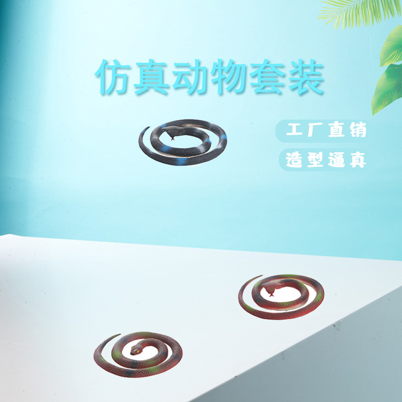 动植物/仿真模型实物图