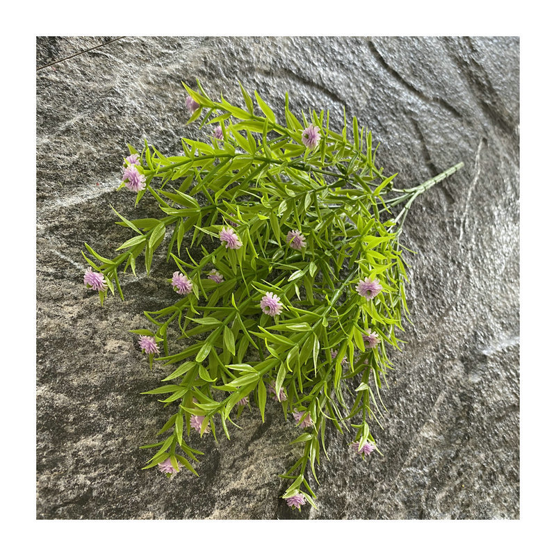 仿真花/多肉仿真花/造景用品/仿真/人工植物白底实物图