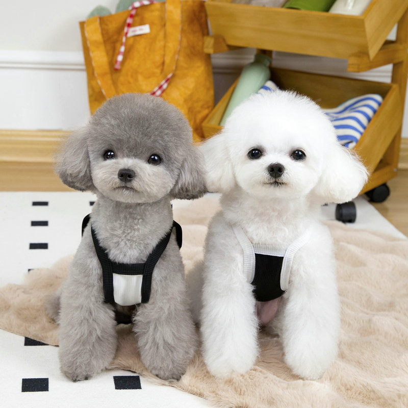 宠物衣服/宠物猫狗衣服/宠物服装/宠物狗狗衣服/狗狗衣服产品图