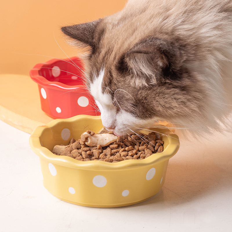 Ceramic cat bowl, lace polka dot pet bowl, anti-black chin cat food bowl, cat food bowl, small dog teddy pet supplies