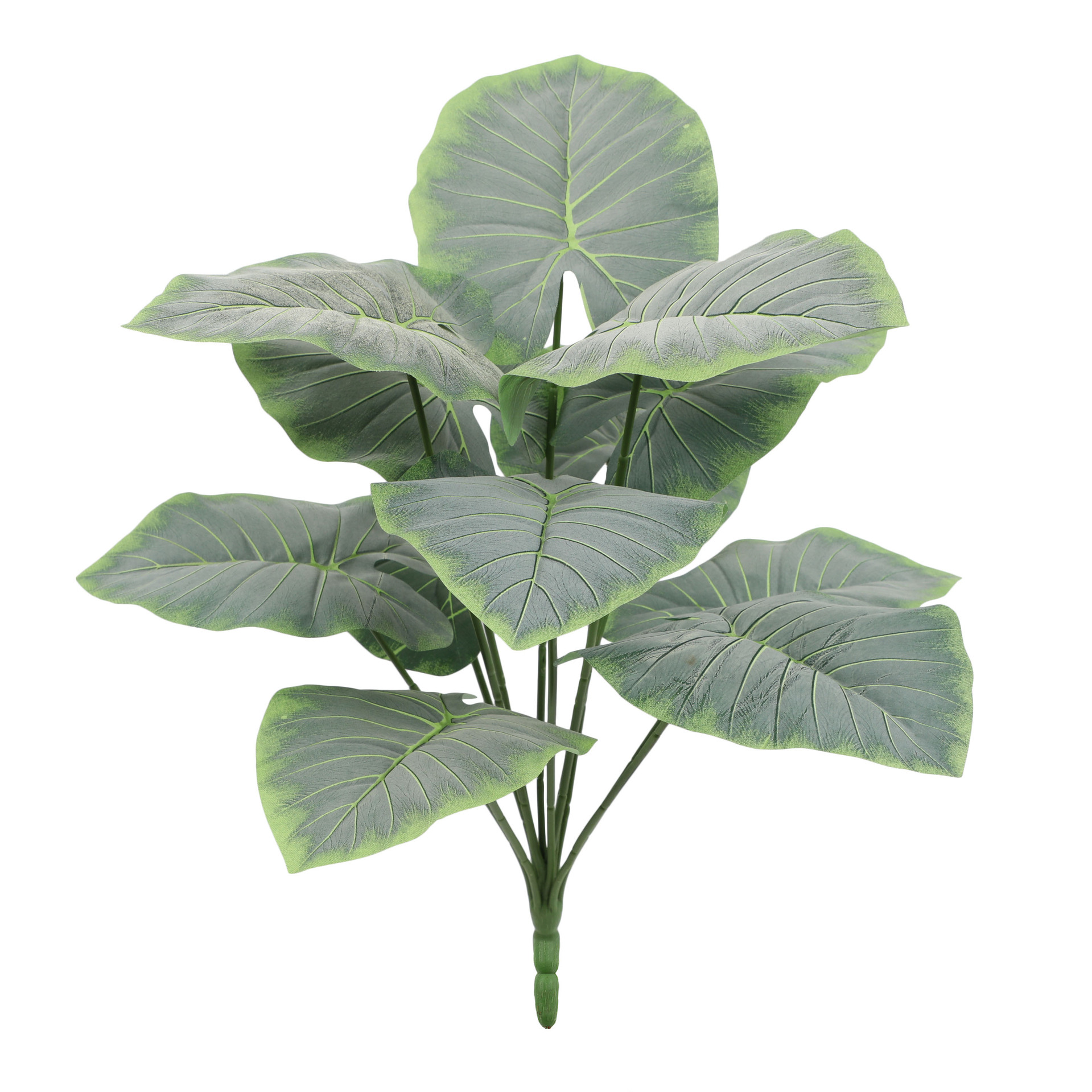 仿真绿植手感胶叶假树家居客厅装饰植物墙园林摄影拍摄仿真花白底实物图