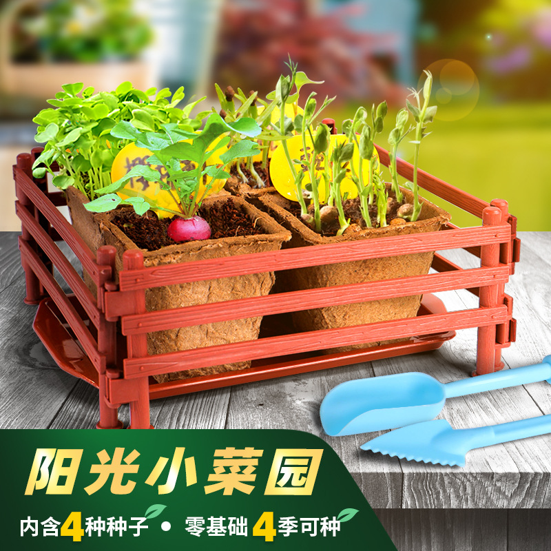 Sunshine Little Vegetable Garden Wooden Science Experiment Set DIY Dragon Boat Planting Science and Technology Small Experiment Toys Specification image
