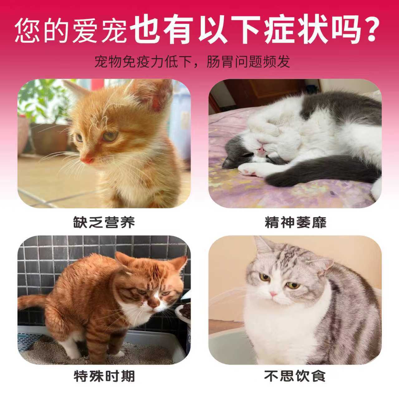 猫咪狗狗用乳果糖营养补充剂犬幼猫口服液调理肠胃提高免疫力 Specification image