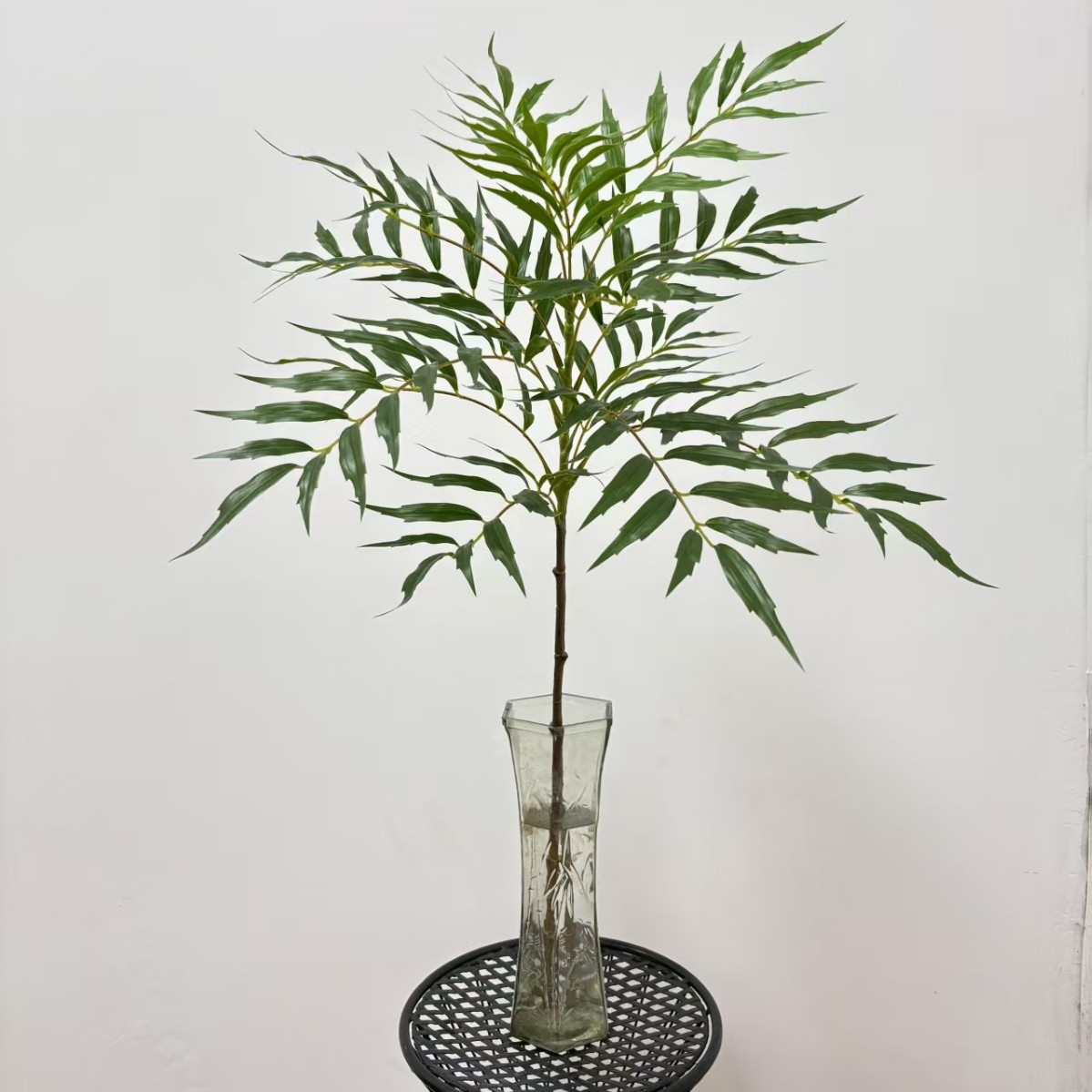 تزيِّن الافرع العشبية لعشرة اجزاء من النباتات المحاكاة Specification image