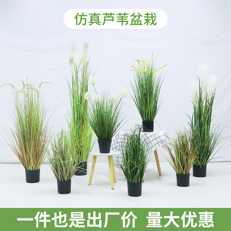 Artificial reeds, foxtail grass, onion grass, large plant bonsai, clothing store window floor-to-ceiling decoration, green plant potted plants details Picture
