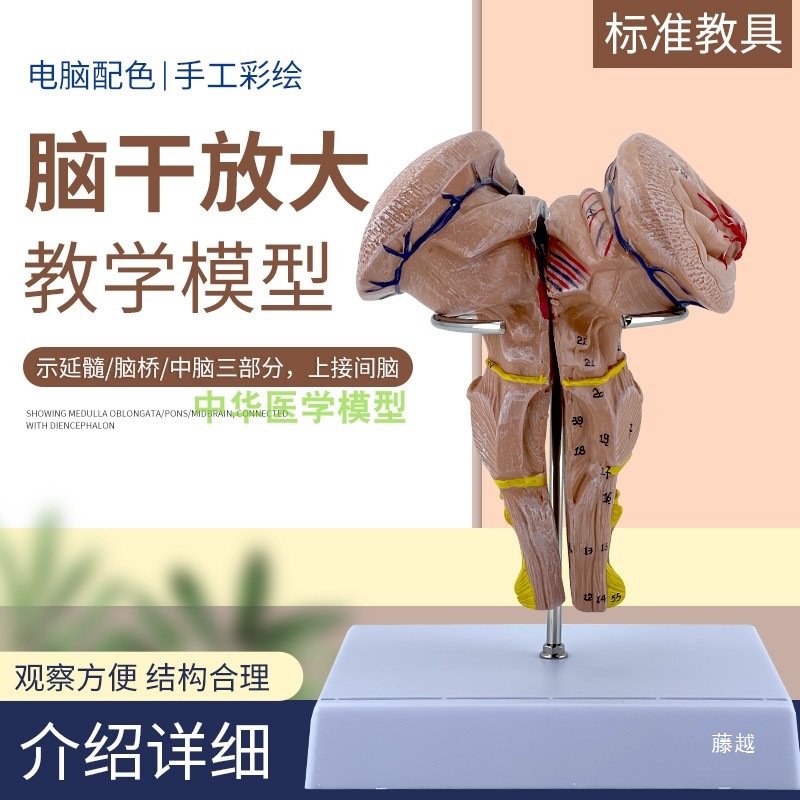 海洋玩具/仿真婴儿/狼相关产品/猎豹/小汽车玩具细节图