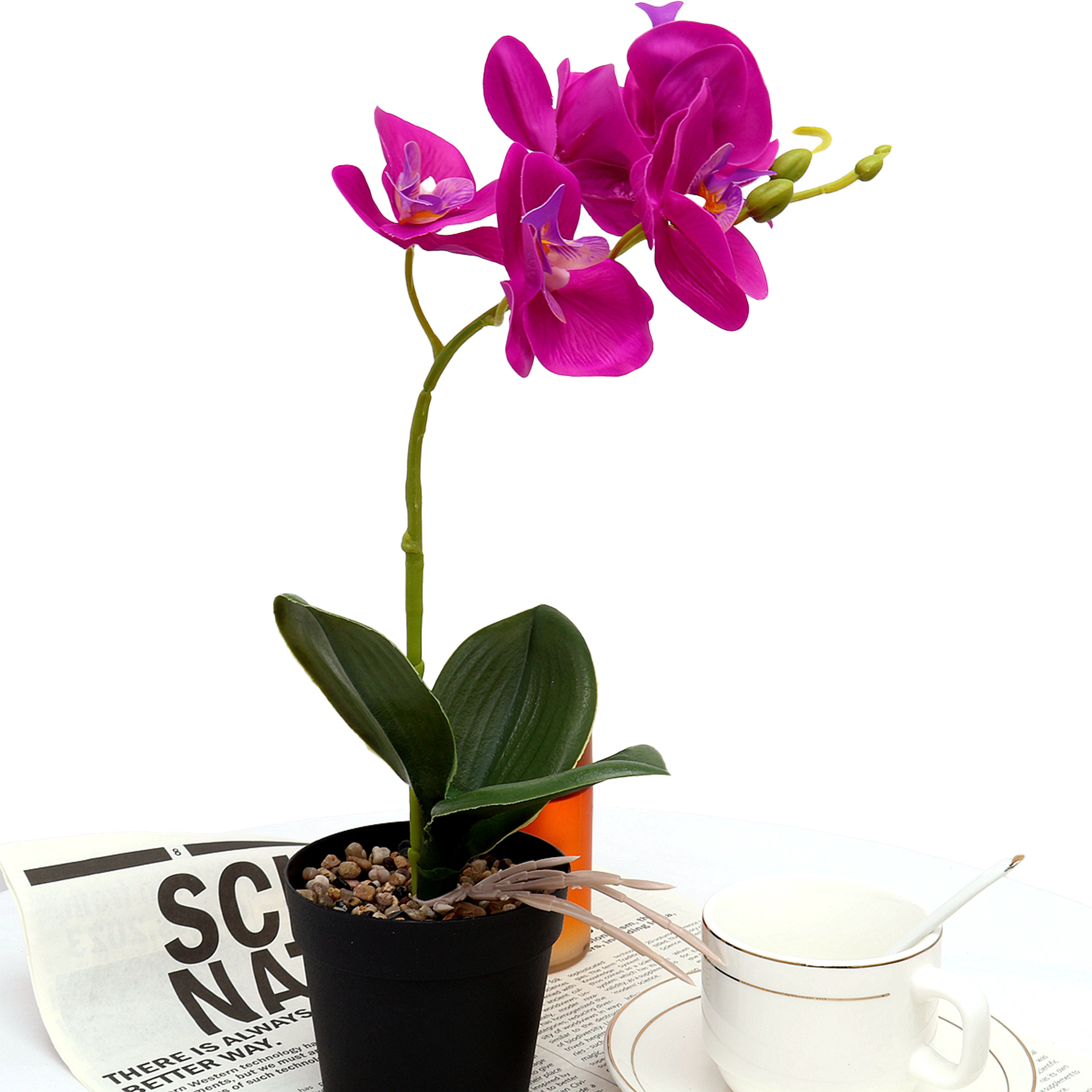 工厂批发家居装饰仿真蝴蝶兰盆景假花仿真蝴蝶兰盆栽仿真盆栽植物白底实物图