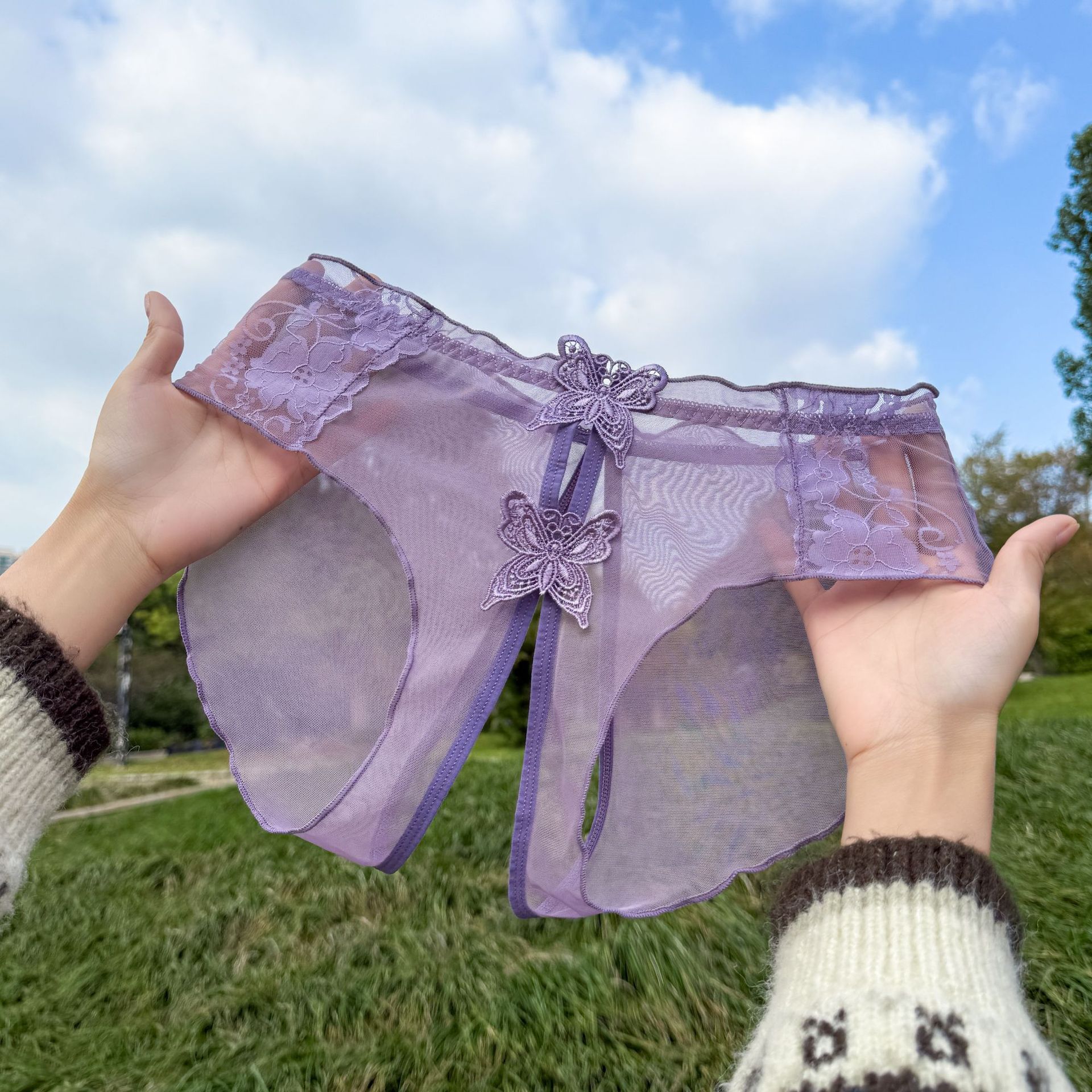 2026 New style lace high-end sexy high-waisted seamless lace underwear for girls, pure and alluring triangle pants for women Specification image