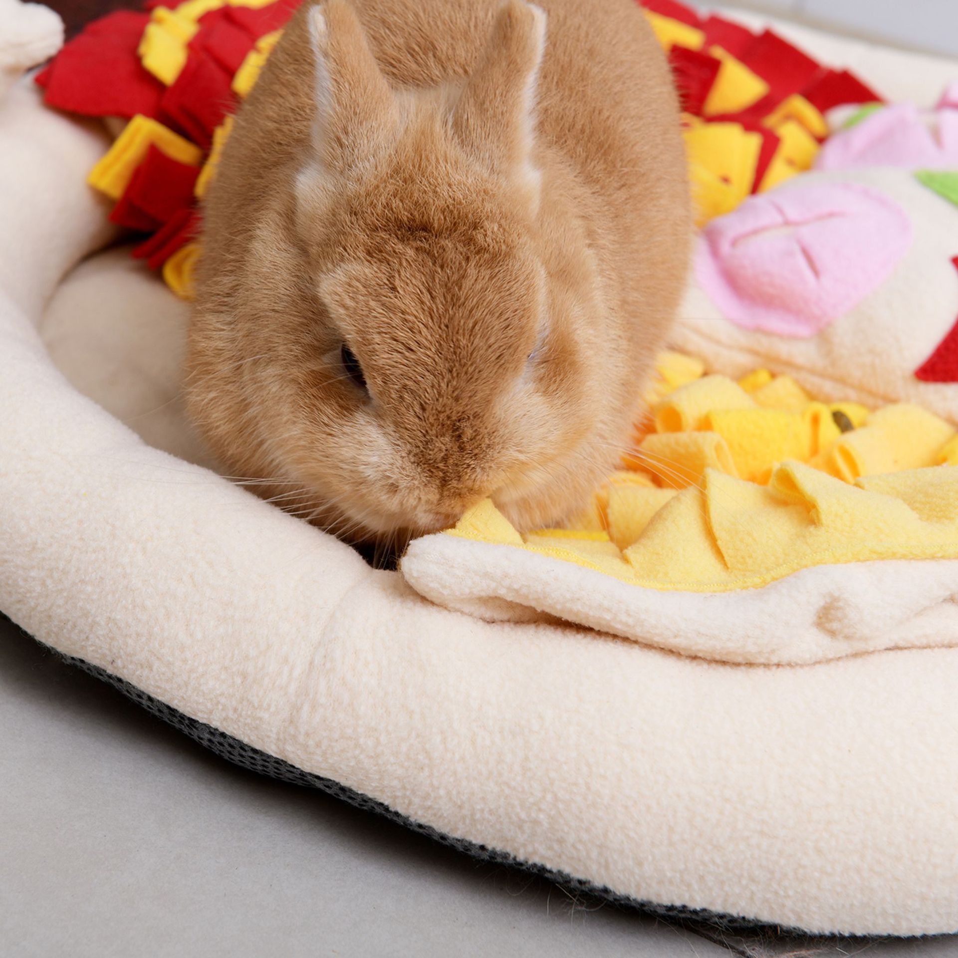 Rongka Pet Cross-border Colorful Theme Series Food Pizza Pet Sniffing Pads Expending Dog Energy Hiding Pads Dog Toys Specification image