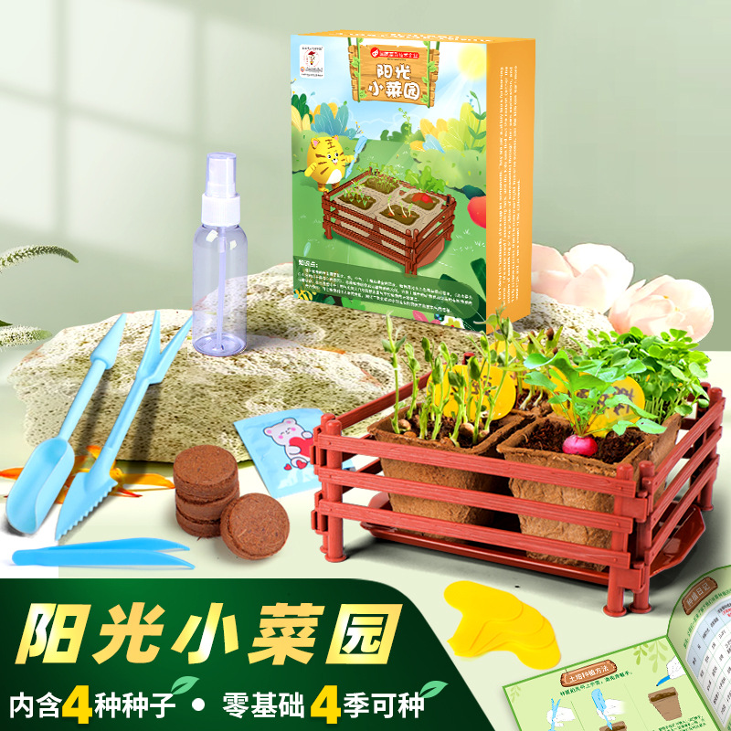 Sunshine Little Vegetable Garden Wooden Science Experiment Set DIY Dragon Boat Planting Science and Technology Small Experiment Toys Application Scenario