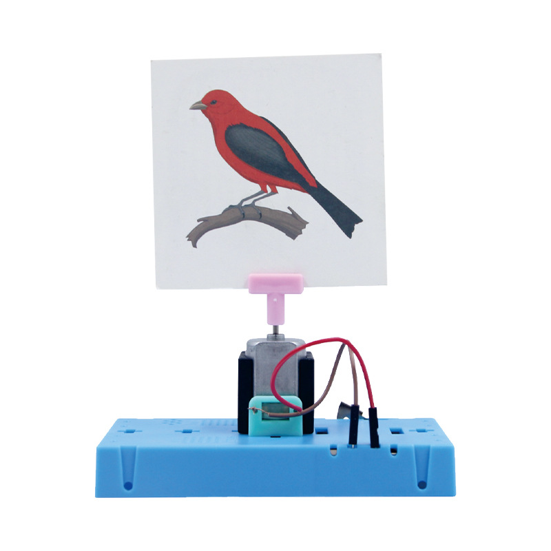 Children's science and education experiment teaching AIDS DIY science and technology small creations Primary school students' science invention material kits caged birds Item Picture