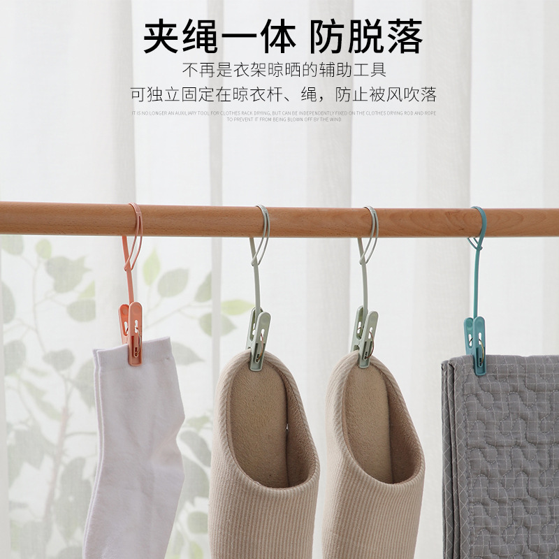 衣夹、裤夹、收纳夹子实物图