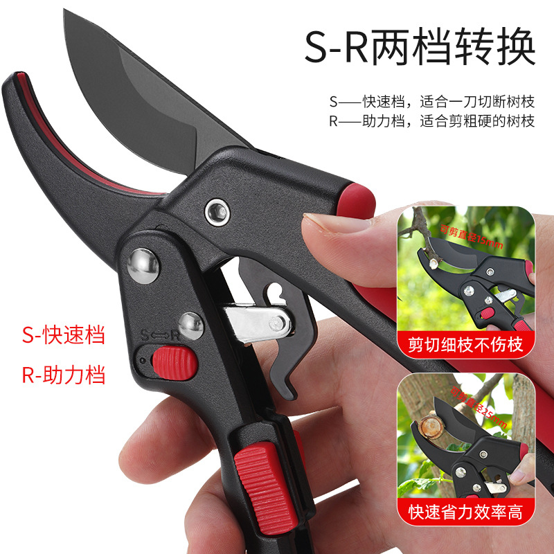 Fruit tree pruning, thick branch pruning, garden scissors, flower art and flower branch scissors, pruning, garden tools, flower pruning Specification image