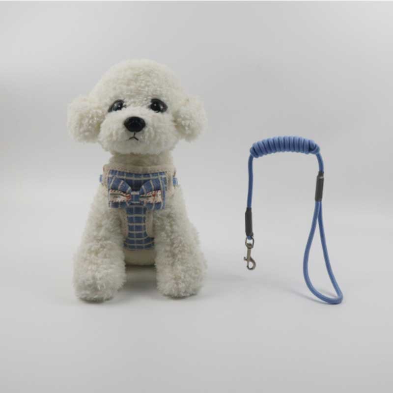 Rongka Pet Cross-border Vest dog leash with chest and back, small and medium-sized dog chest and back with bow net bag, dog walking leash and dog supplies Application Scenario