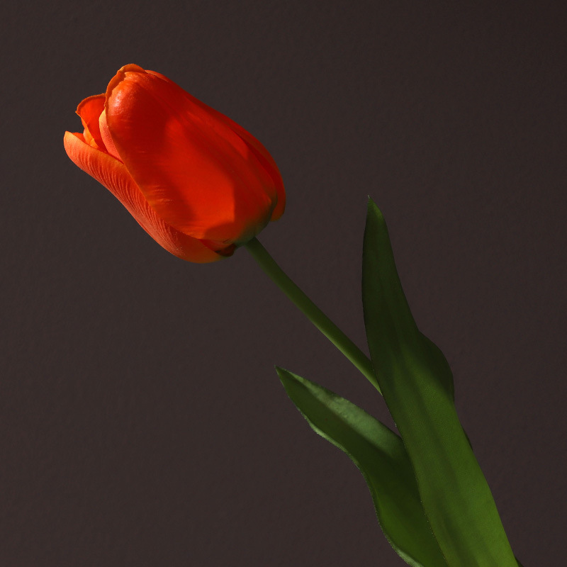 仿真水生植物实物图