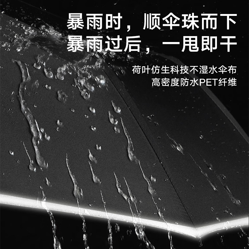import细节图