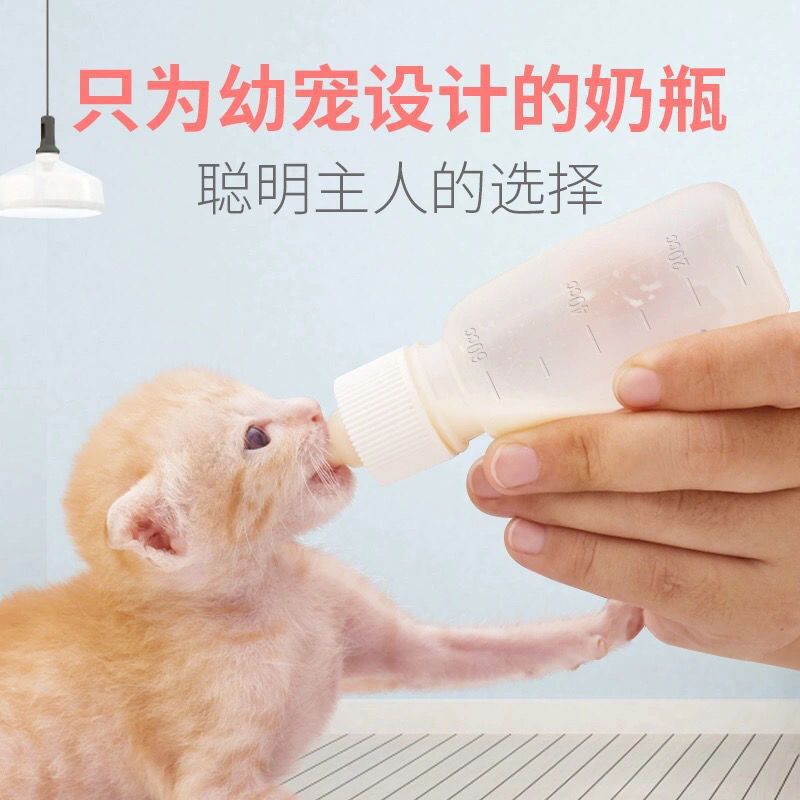 宠物/宠物猫猫用品产品图