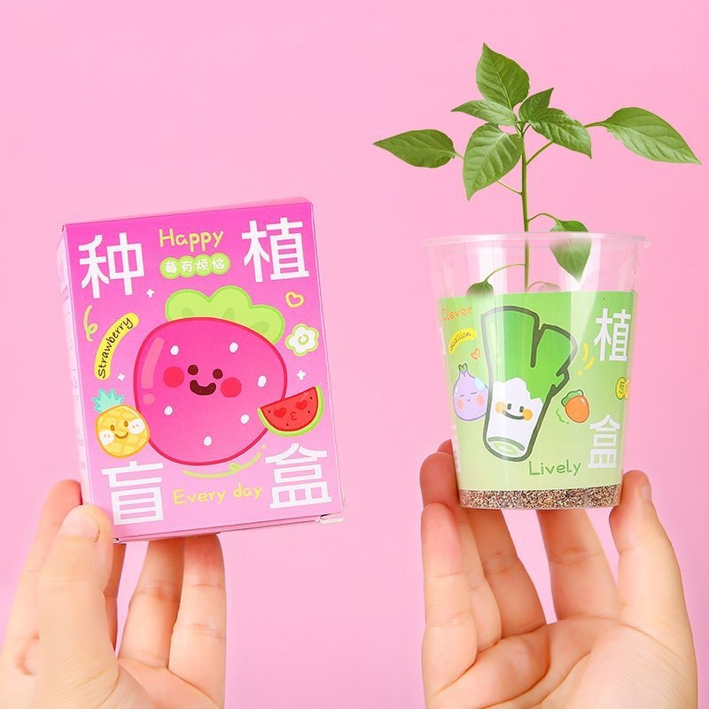 Planting blind box potted plants, children's back-to-school class reward gifts, student prizes, office desk green plants, little oxygen bar Application Scenario