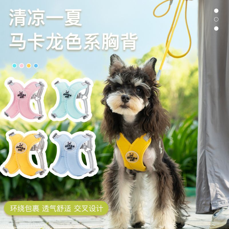 Rongka Pet Cross-border Pet retractable Leash X-shaped chest and back Dog leash Schnauzer Bichon Bear Dog Walking chest and back Dog supplies details Picture
