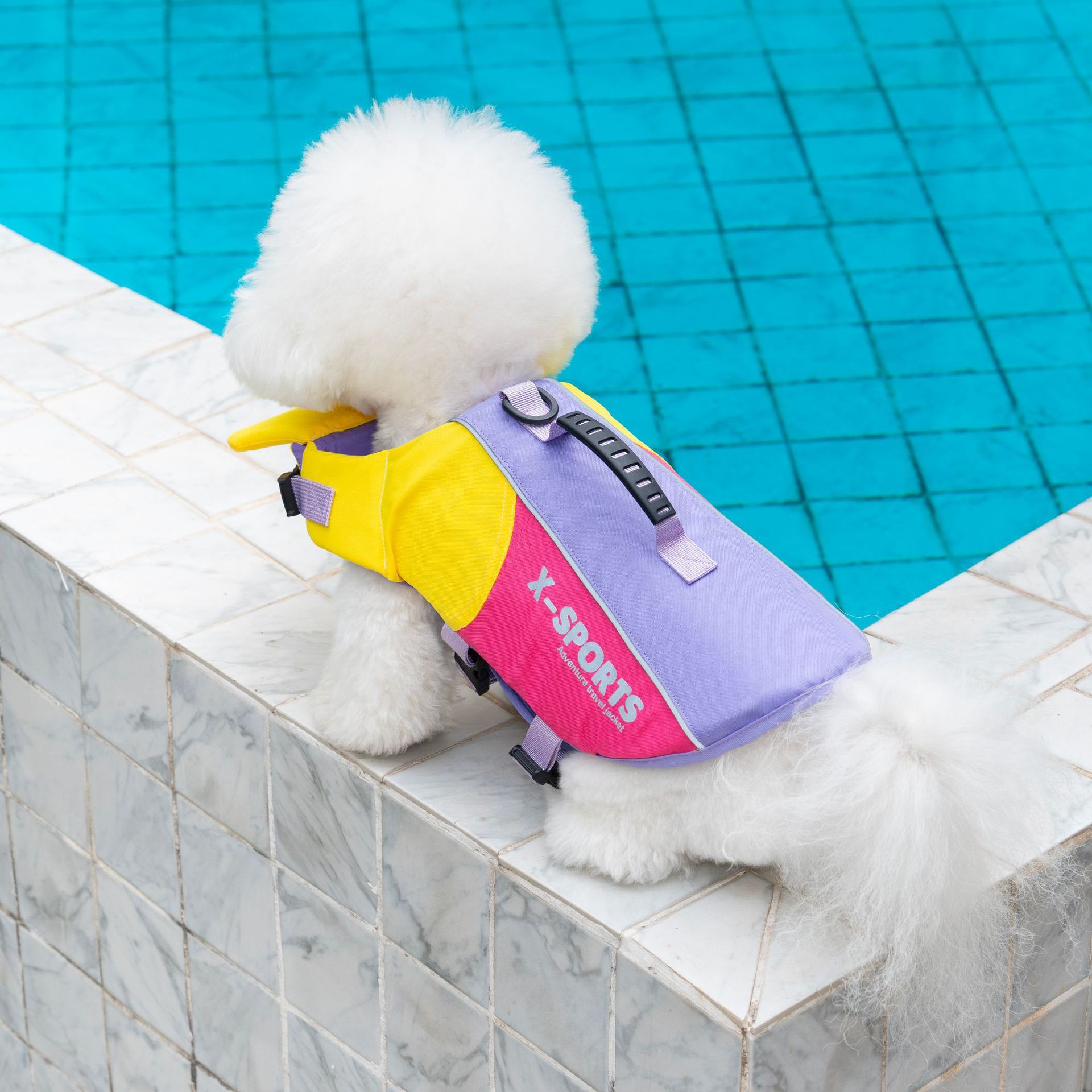 宠物/宠物用品/宠物饰品/宠物项圈/项圈宠物带产品图