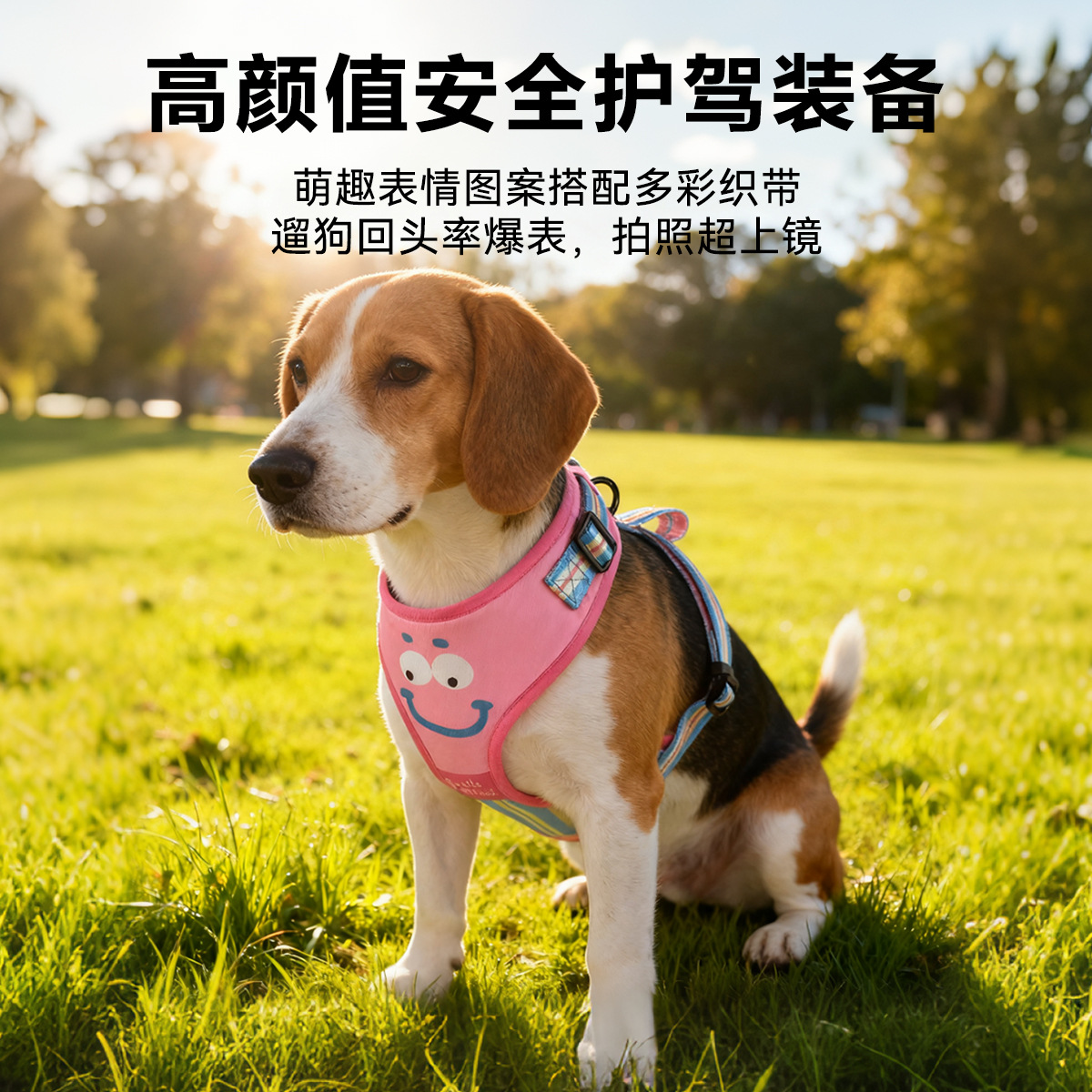 唛迪宠物用品BSCI工厂时尚新款配色猫咪狗狗胸背带牵引绳遛狗绳项圈产品图