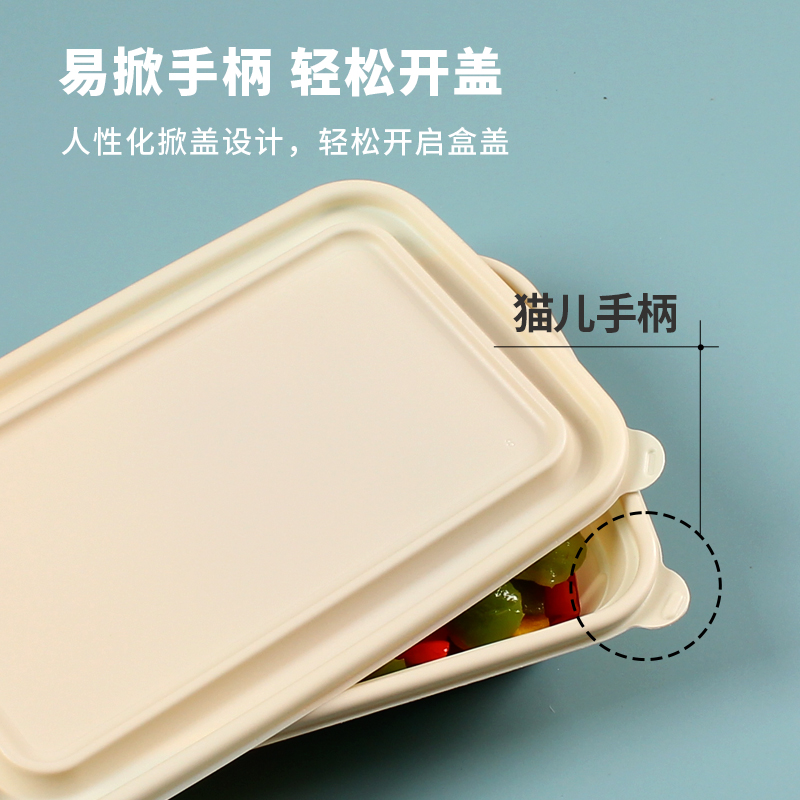 Disposable lunch box, microwave-safe, food-grade corn starch, rectangular compartments, two-compartment packing box Application Scenario