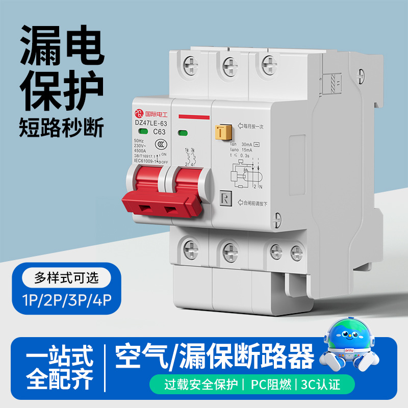 漏电保护器开关2P63A断路器DZ47LE双极空气开关1P2P3P4P家用