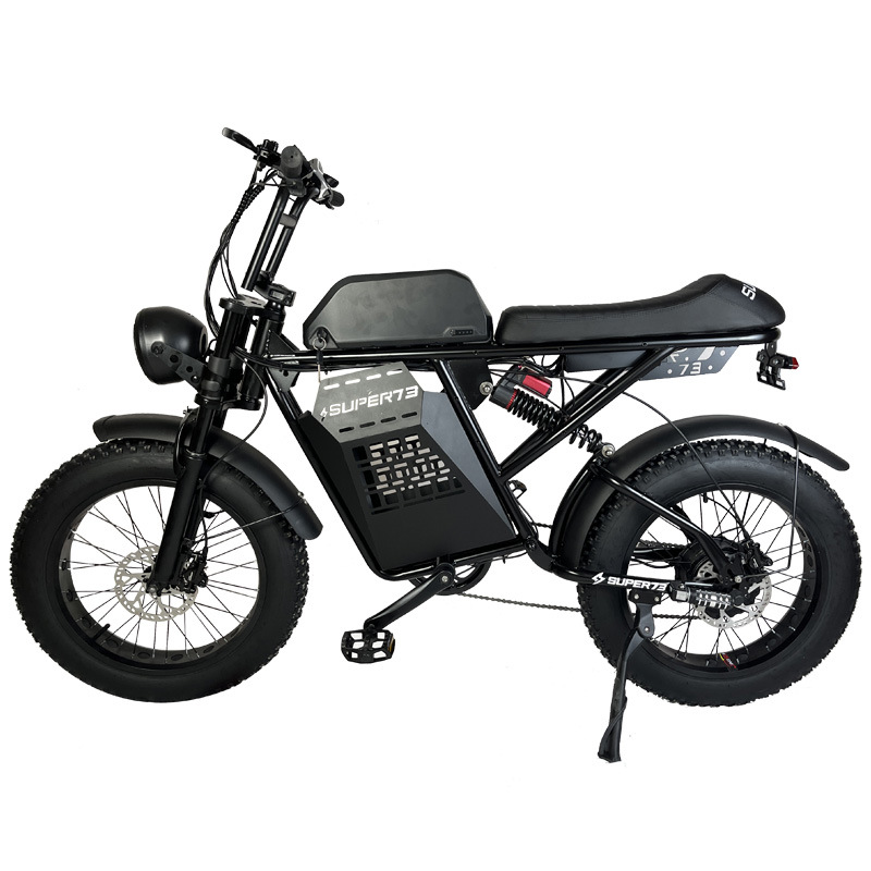 Factory direct sales of fat tire snow-assisted bicycles, mountain bikes, lithium battery variable-speed multi-functional electric vehicles details Picture