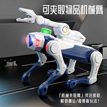 AI玩具/变形金钢玩具/ai玩具/机器人/玩具枪细节图