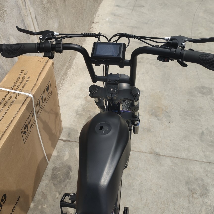 20-inch electric bicycle super73 integrated wheel lithium battery-powered 3.0 dual disc brake for beach and snow Item Picture