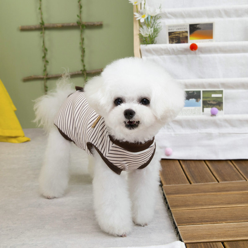 Pet clothing, dog hoodies, pet pressure, Amazon dog supplies, Teddy 25 football, large dog Application Scenario