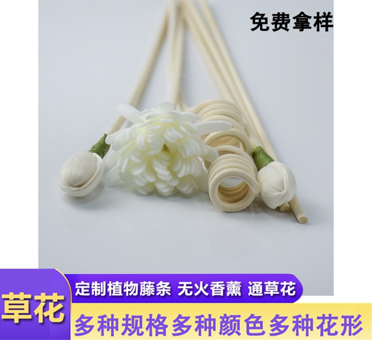 通草花组合无火香薰配件叶脉花干花藤条藤球搭配组合装饰